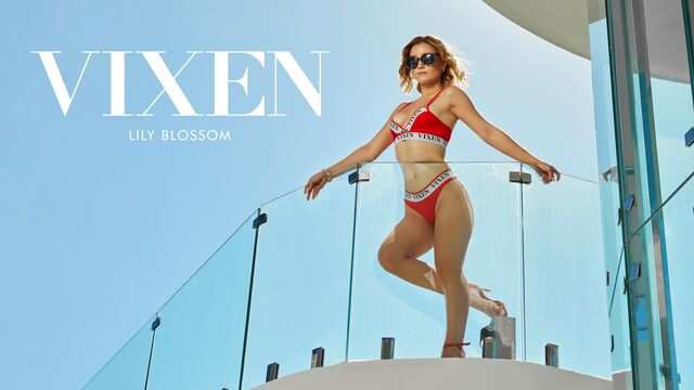 Блондинка делает минет своему лысому богатому любовнику...